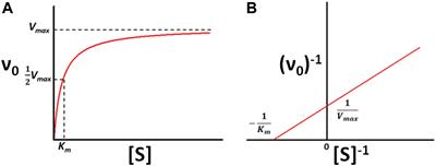 Enzyme Kinetics by Isothermal Titration Calorimetry: Allostery, Inhibition, and Dynamics